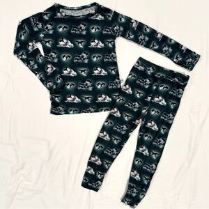 Brooke and Peyton Bamboo Pajamas Boys 2T Girls Dragons Two Piece Set 2-Piece
